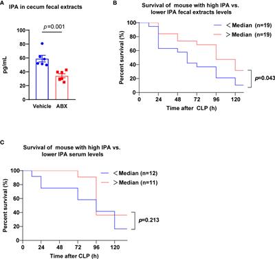 Gut microbiota-derived indole 3-propionic acid partially activates aryl hydrocarbon receptor to promote macrophage phagocytosis and attenuate septic injury